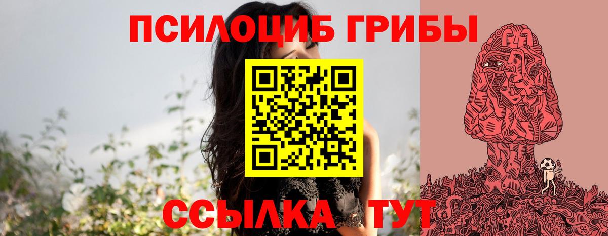 Псилоцибиновые грибы Psilocybe  Галлюциногенные грибы прущие грибы  Вход с VPN  Тула 